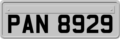 PAN8929