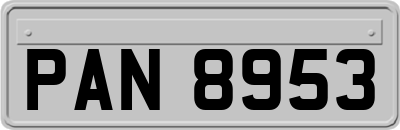 PAN8953