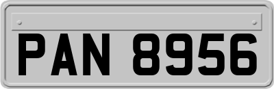 PAN8956