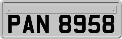 PAN8958