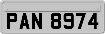 PAN8974
