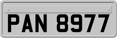 PAN8977