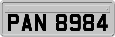 PAN8984