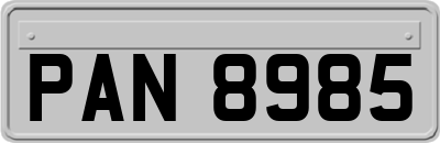 PAN8985