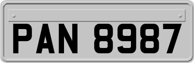 PAN8987