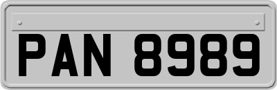 PAN8989
