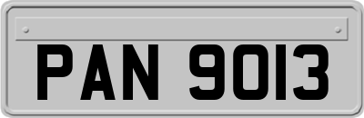 PAN9013