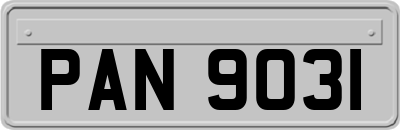 PAN9031