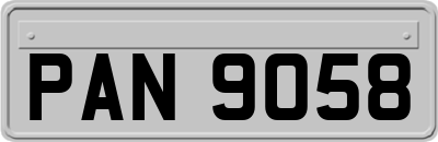 PAN9058