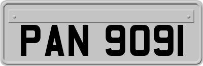 PAN9091