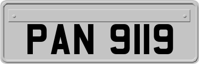 PAN9119