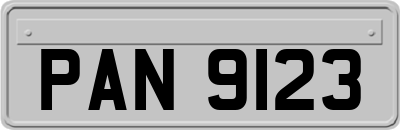 PAN9123
