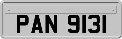 PAN9131
