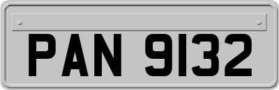 PAN9132