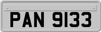 PAN9133