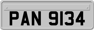 PAN9134
