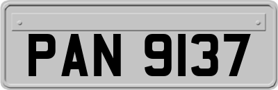 PAN9137