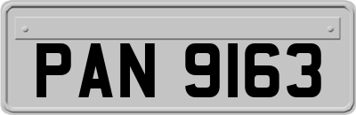 PAN9163