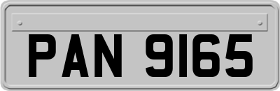 PAN9165
