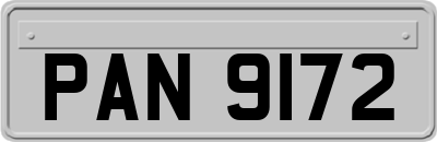 PAN9172
