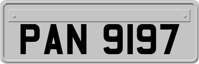 PAN9197