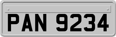 PAN9234