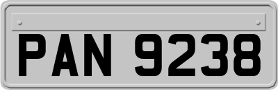 PAN9238