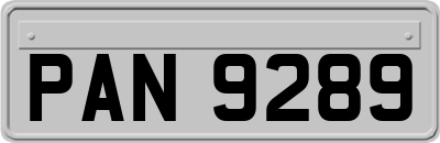 PAN9289