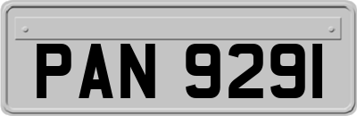 PAN9291