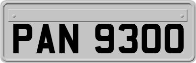 PAN9300