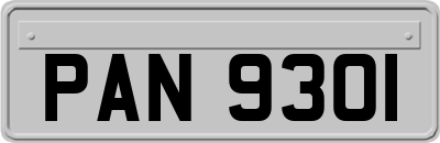 PAN9301