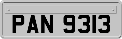 PAN9313