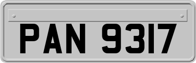 PAN9317
