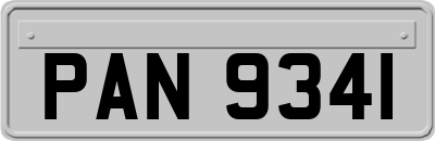 PAN9341