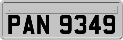 PAN9349