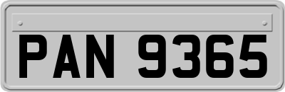 PAN9365