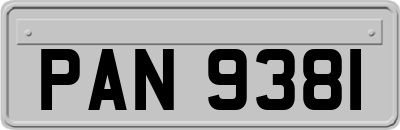 PAN9381