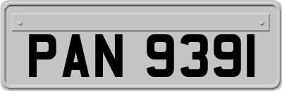 PAN9391