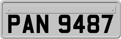 PAN9487