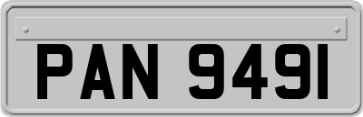 PAN9491
