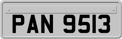 PAN9513