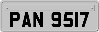 PAN9517