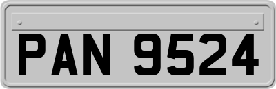 PAN9524
