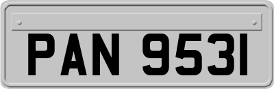 PAN9531