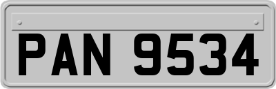 PAN9534