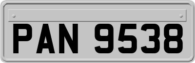 PAN9538
