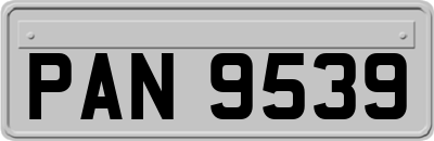 PAN9539