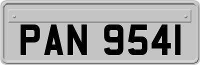 PAN9541