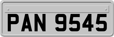 PAN9545