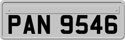 PAN9546